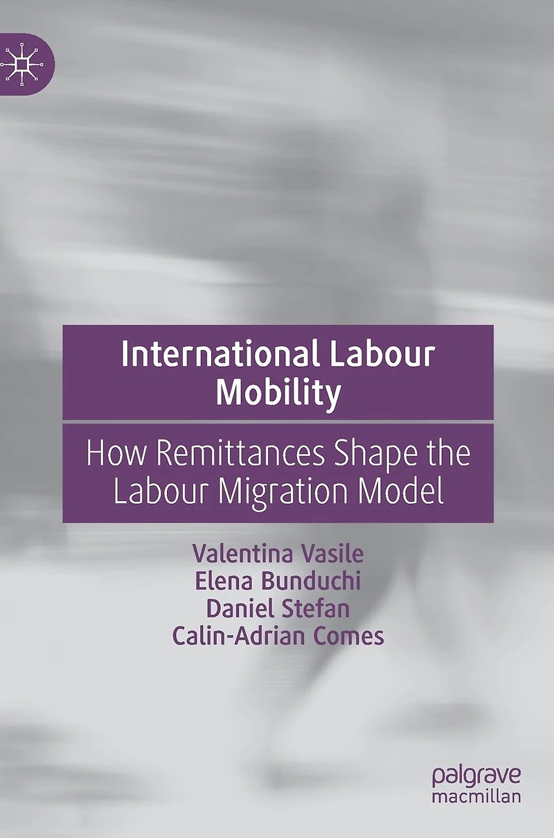 International Labour Mobility: How Remittances Shape the Migration Model