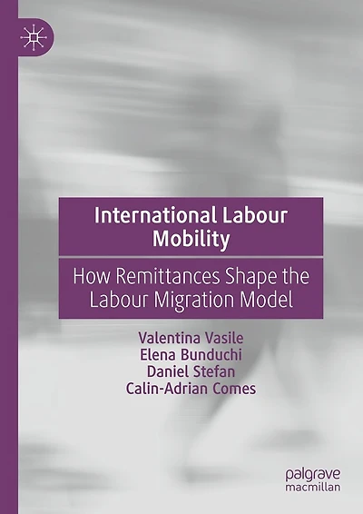 International Labour Mobility: How Remittances Shape the Migration Model