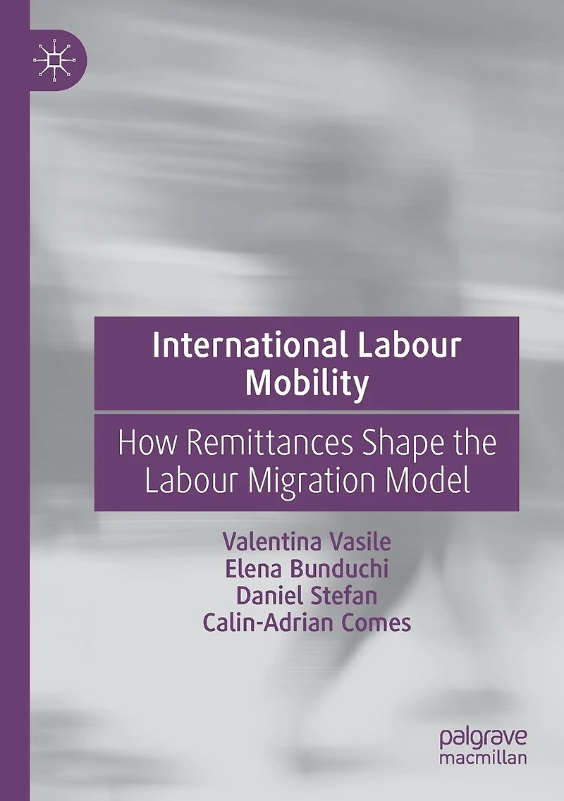 International Labour Mobility: How Remittances Shape the Migration Model