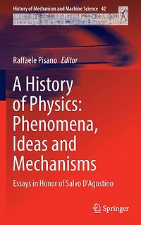 A History of Physics: Phenomena, Ideas and Mechanisms: Essays Honor Salvo D'Agostino