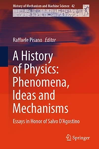 A History of Physics: Phenomena, Ideas and Mechanisms: Essays Honor Salvo D'Agostino