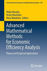 Advanced Mathematical Methods for Economic Efficiency Analysis: Theory and Empirical Applications