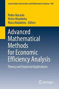 Advanced Mathematical Methods for Economic Efficiency Analysis: Theory and Empirical Applications