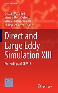 Direct and Large Eddy Simulation XIII: Proceedings of DLES13