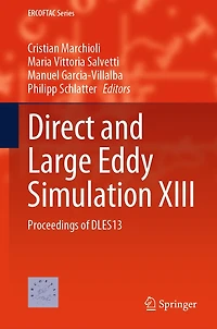 Direct and Large Eddy Simulation XIII: Proceedings of DLES13