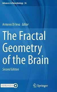the Fractal Geometry of Brain