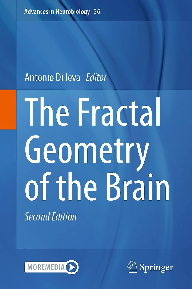 the Fractal Geometry of Brain