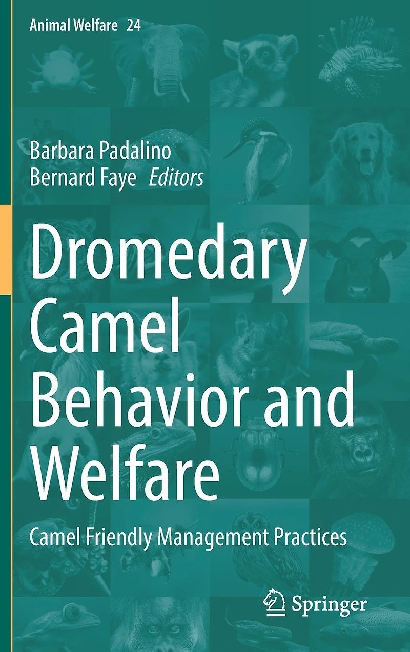 Dromedary Camel Behavior and Welfare: Friendly Management Practices
