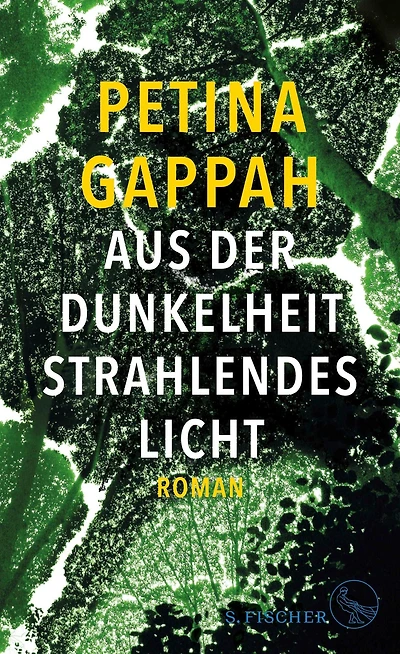 Aus der Dunkelheit strahlendes Licht: Roman