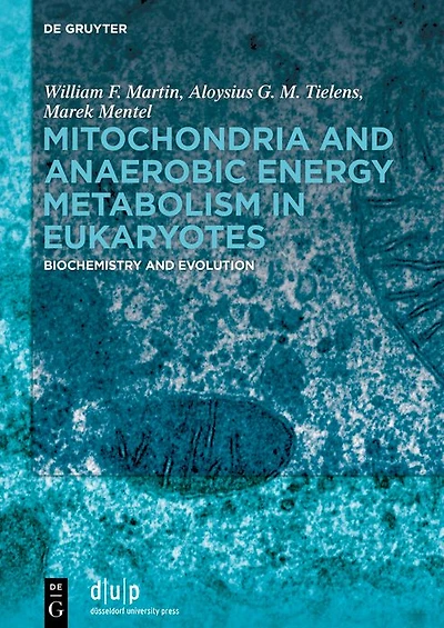 Mitochondria and Anaerobic Energy Metabolism Eukaryotes: Biochemistry Evolution