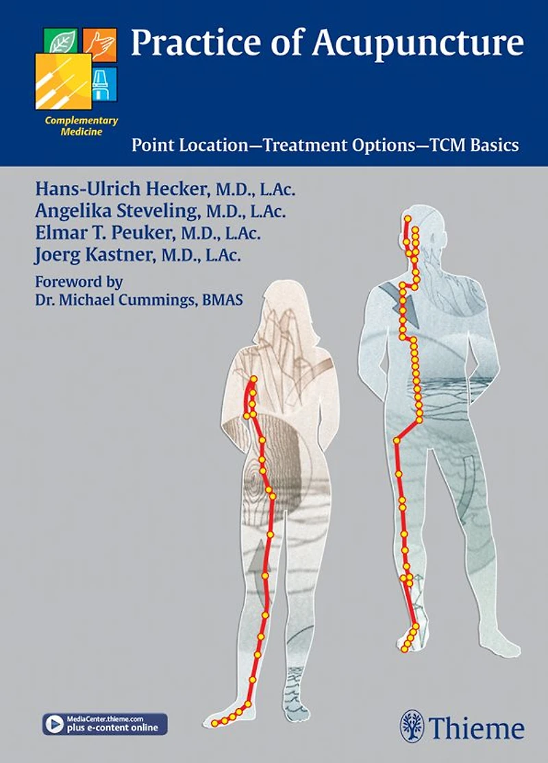 Practice of Acupuncture: Point Location - Treatment Options - TCM Basics