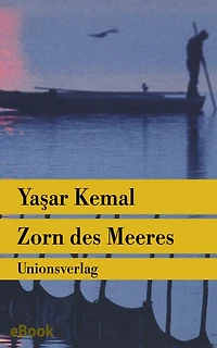 Zorn des Meeres: Roman