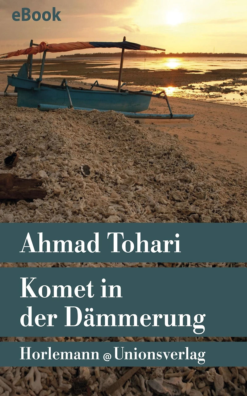Komet in der Dämmerung: Roman