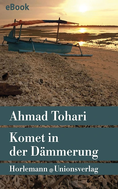 Komet in der Dämmerung: Roman