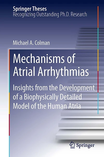 Mechanisms of Atrial Arrhythmias: Insights from the Development a Biophysically Detailed Model Human Atria