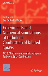 Experiments and Numerical Simulations of Turbulent Combustion Diluted Sprays: TCS 3: Third International Workshop on Spray