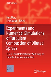 Experiments and Numerical Simulations of Turbulent Combustion Diluted Sprays: TCS 3: Third International Workshop on Spray