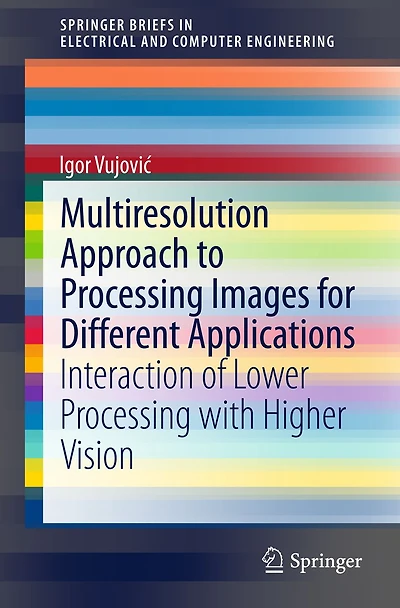 Multiresolution Approach to Processing Images for Different Applications: Interaction of Lower with Higher Vision