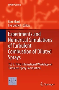 Experiments and Numerical Simulations of Turbulent Combustion Diluted Sprays: TCS 3: Third International Workshop on Spray