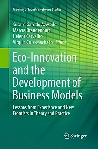 Eco-Innovation and the Development of Business Models: Lessons from Experience New Frontiers Theory Practice
