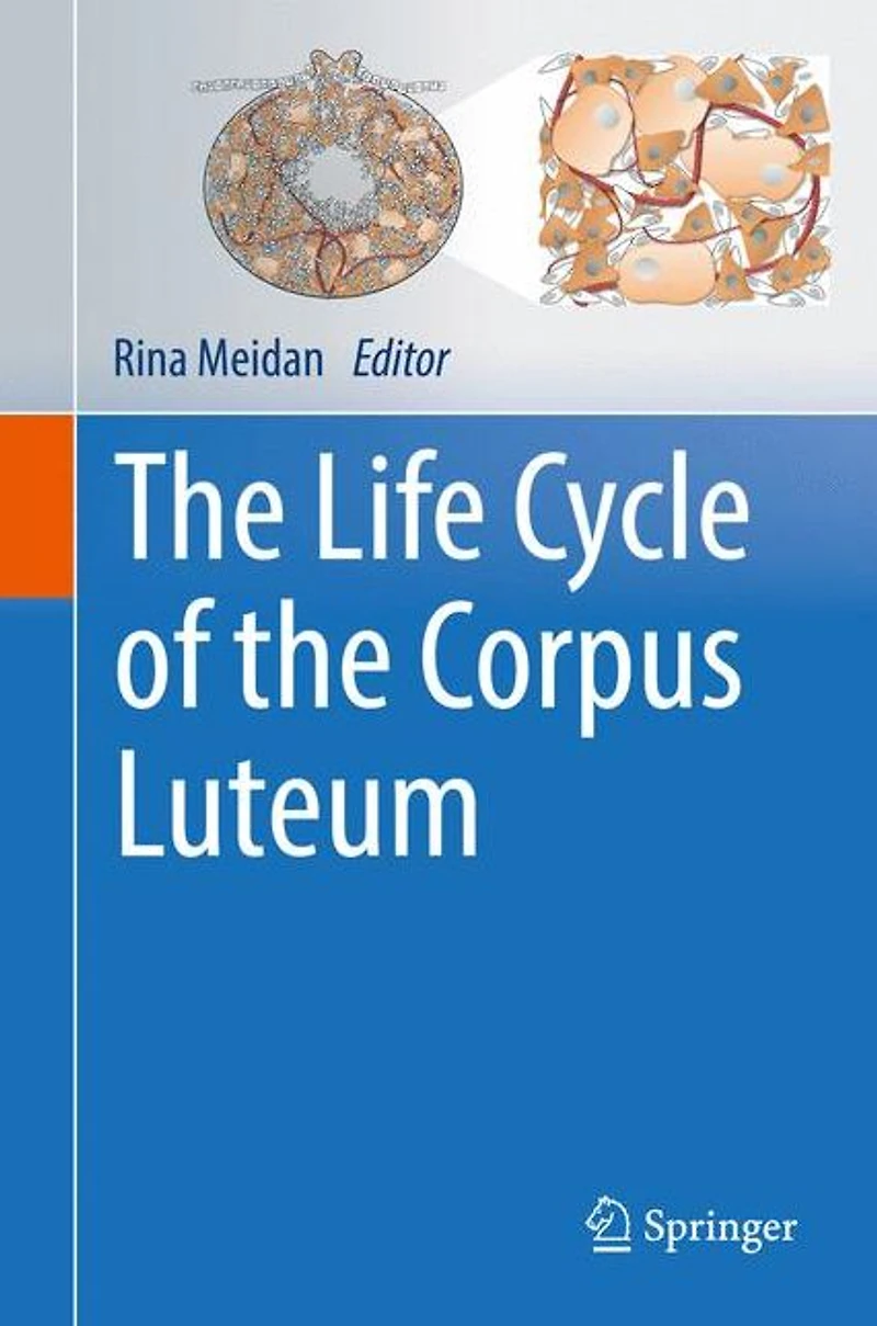 the Life Cycle of Corpus Luteum