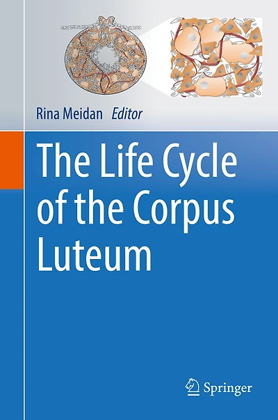 the Life Cycle of Corpus Luteum