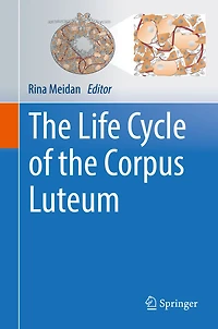 the Life Cycle of Corpus Luteum