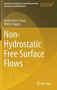 Non-Hydrostatic Free Surface Flows