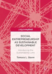 Social Entrepreneurship as Sustainable Development: Introducing the Sustainability Lens