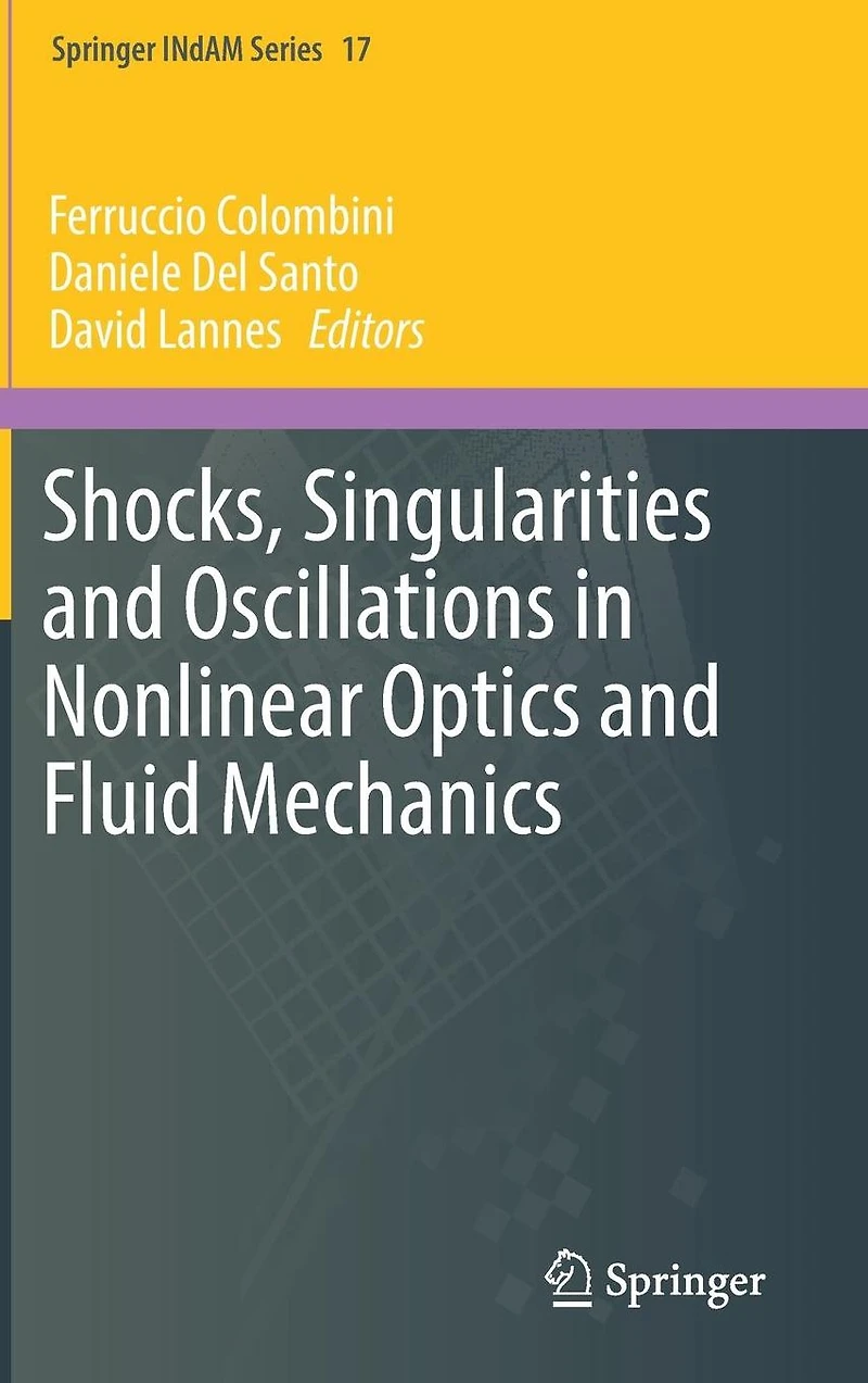 Shocks, Singularities and Oscillations Nonlinear Optics Fluid Mechanics