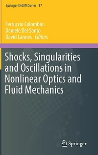 Shocks, Singularities and Oscillations Nonlinear Optics Fluid Mechanics
