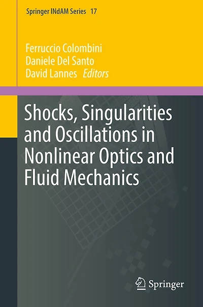 Shocks, Singularities and Oscillations Nonlinear Optics Fluid Mechanics