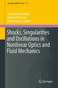Shocks, Singularities and Oscillations Nonlinear Optics Fluid Mechanics