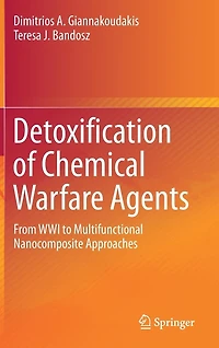 Detoxification of Chemical Warfare Agents: From WWI to Multifunctional Nanocomposite Approaches