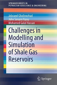 Challenges in Modelling and Simulation of Shale Gas Reservoirs