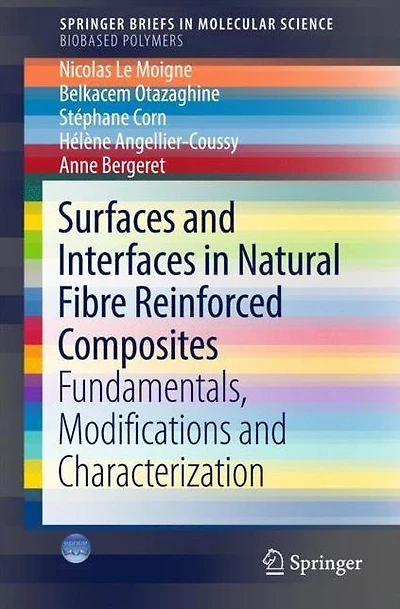 Surfaces and Interfaces in Natural Fibre Reinforced Composites: Fundamentals, Modifications and Characterization