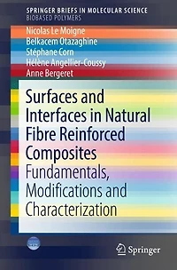 Surfaces and Interfaces in Natural Fibre Reinforced Composites: Fundamentals, Modifications and Characterization