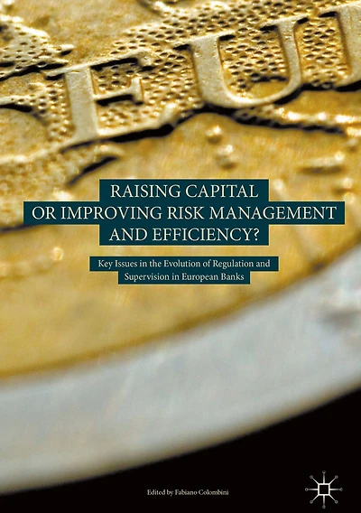Raising Capital or Improving Risk Management and Efficiency?: Key Issues the Evolution of Regulation Supervision European Banks