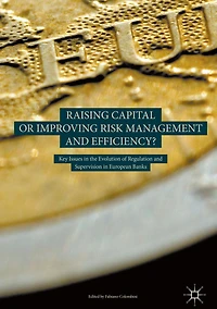 Raising Capital or Improving Risk Management and Efficiency?: Key Issues the Evolution of Regulation Supervision European Banks