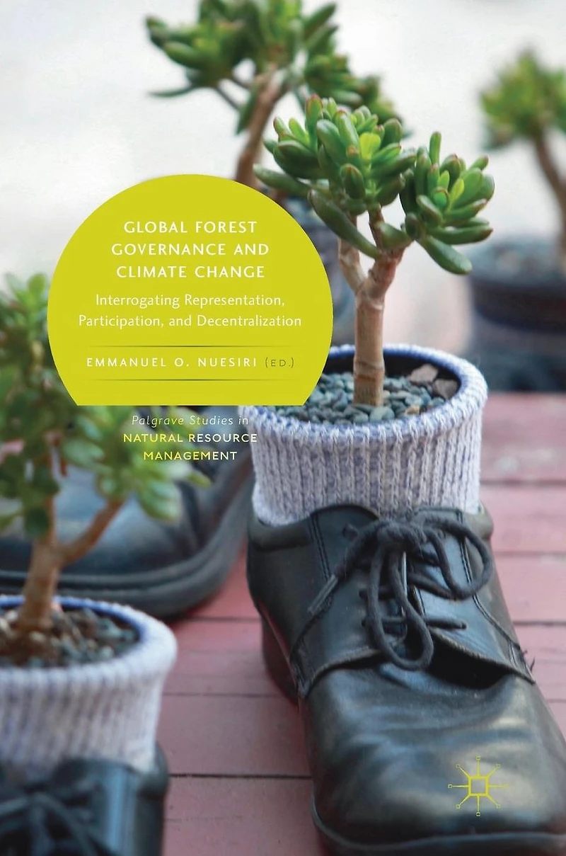 Global Forest Governance and Climate Change: Interrogating Representation, Participation, Decentralization