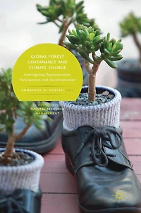 Global Forest Governance and Climate Change: Interrogating Representation, Participation, Decentralization