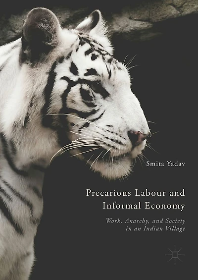 Precarious Labour and Informal Economy: Work, Anarchy, Society an Indian Village