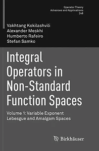 Integral Operators Non-Standard Function Spaces: Volume 1: Variable Exponent Lebesgue and Amalgam Spaces