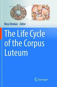 the Life Cycle of Corpus Luteum