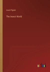 The Insect World