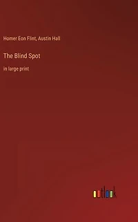 The Blind Spot: large print