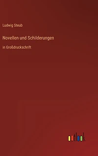 Novellen und Schilderungen: Großdruckschrift