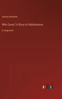 Who Cares? A Story of Adolescence: large print