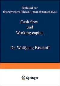 Cash flow und Working capital: Schlüssel zur finanzwirtschaftlichen Unternehmensanalyse