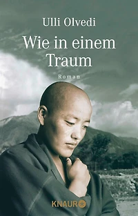 Wie einem Traum: Roman